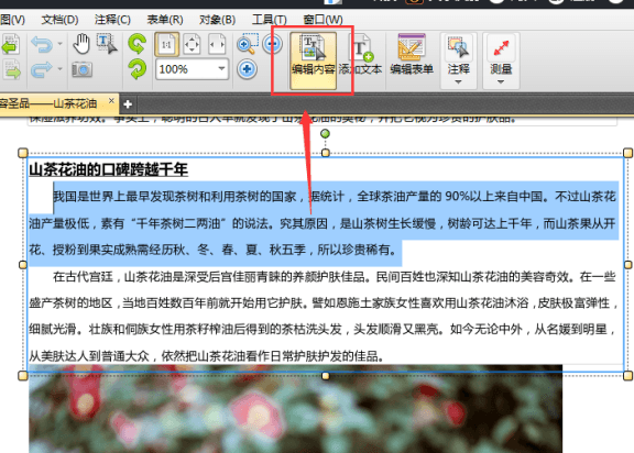 迅捷pdf編輯器為文件中部分文字加粗的操作教程截圖