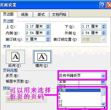 word2003進(jìn)行頁(yè)面設(shè)置的具體操作步驟截圖