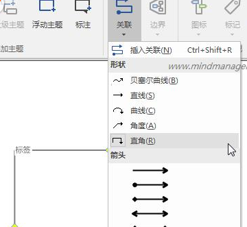 mindmanager中繪制流程圖的詳細(xì)操作方法截圖