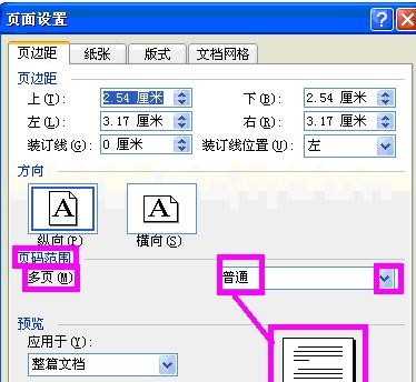 word2003進(jìn)行頁(yè)面設(shè)置的具體操作步驟截圖