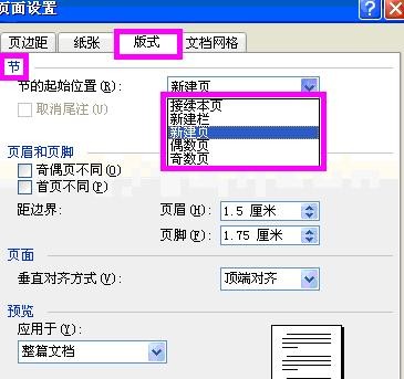 word2003進(jìn)行頁(yè)面設(shè)置的具體操作步驟截圖