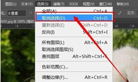 photoshop cs6為圖片加框的操作步驟截圖