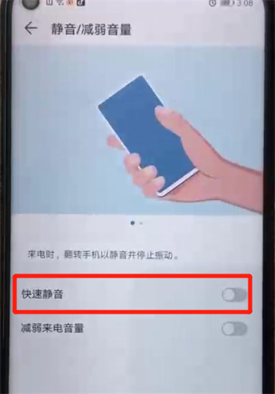 榮耀20pro中設(shè)置翻轉(zhuǎn)靜音的操作教程截圖