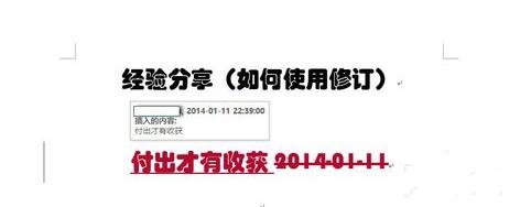 Word 2013中使用修訂功能的操作教程截圖