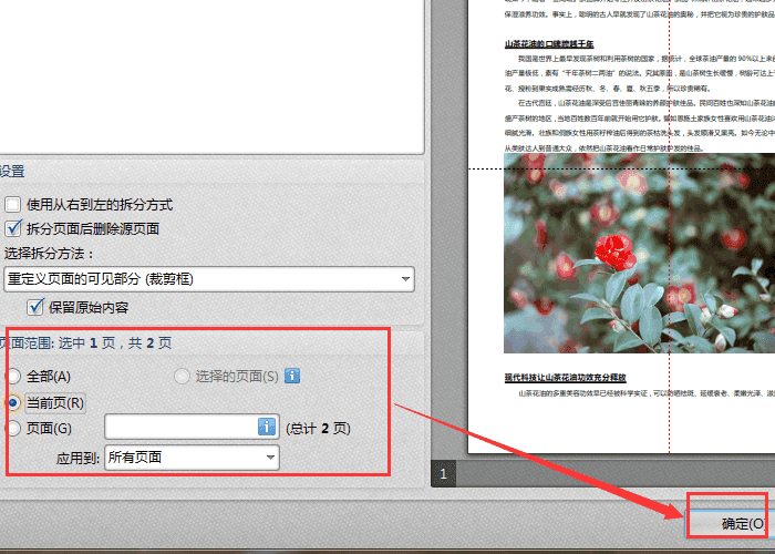 迅捷pdf編輯器拆分PDF頁面的操作教程截圖