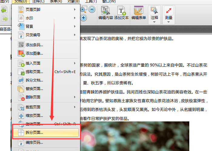 迅捷pdf編輯器拆分PDF頁面的操作教程截圖