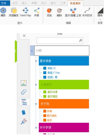 iMindMap中快速捕捉視圖的詳細(xì)使用說(shuō)明截圖