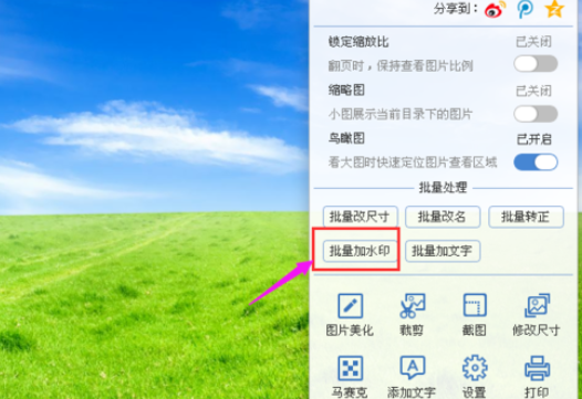 2345看圖王對圖片批量加水印的操作教程截圖