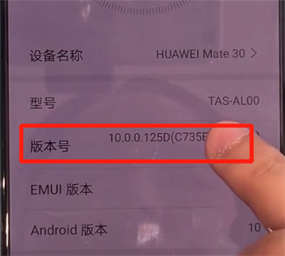 華為mate30中開啟開發(fā)人員選項(xiàng)的操作教程截圖