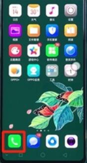 oppoReno Ace清理通話記錄的詳細(xì)步驟截圖