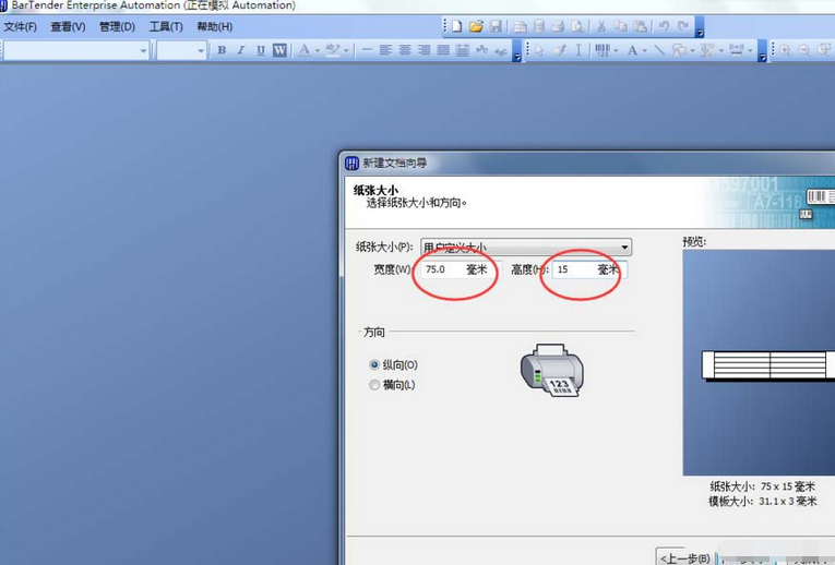 BarTender雙排標(biāo)簽紙打印的操作教程截圖