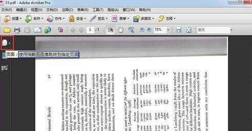 Adobe Acrobat XI Pr旋轉(zhuǎn)PDF文件的操作方法截圖