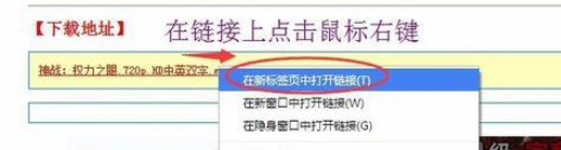 谷歌瀏覽器無法啟用迅雷/阿里旺旺的解決方法截圖