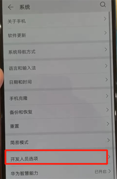 華為p30中退出開發(fā)者選項的操作教程截圖