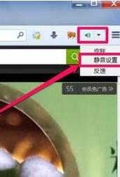 火狐瀏覽器關(guān)掉網(wǎng)頁(yè)聲音的操作過教程截圖