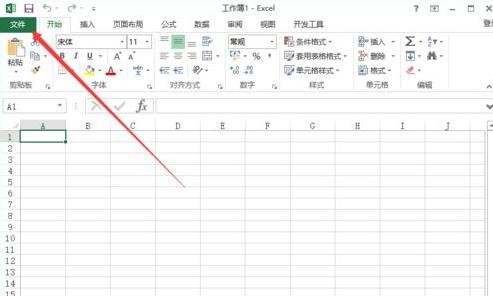 excel2013設(shè)置標(biāo)題字體的簡(jiǎn)單使用方法截圖