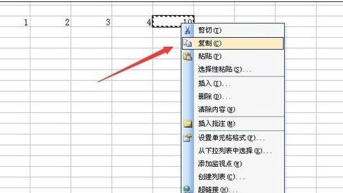 excel2007只復(fù)制數(shù)字的操作方法截圖