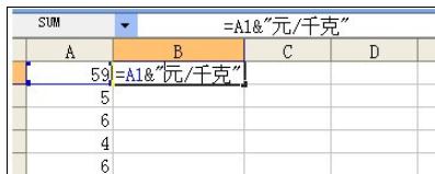 excel2007批量添加前綴或后綴的詳細(xì)教程截圖