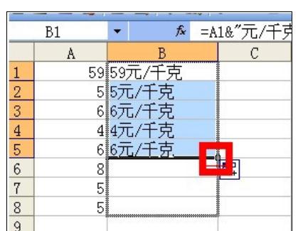 excel2007批量添加前綴或后綴的詳細(xì)教程截圖