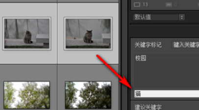 Lightroom為照片添上關(guān)鍵字的具體教程截圖