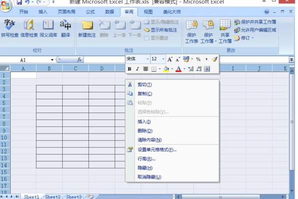 excel2007隱藏單元格內(nèi)容的操作步驟截圖