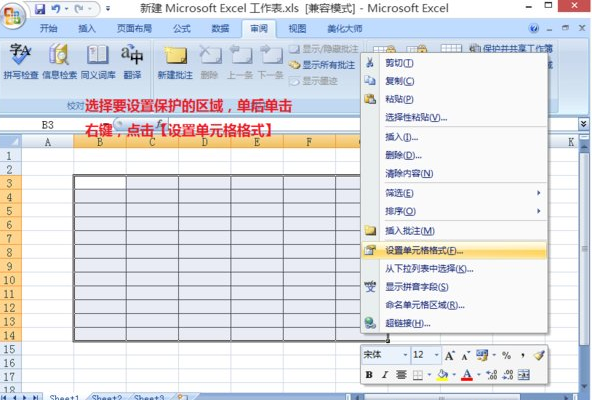 excel2007隱藏單元格內(nèi)容的操作步驟截圖