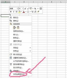 excel2007設(shè)置全屏顯示的操作教程截圖