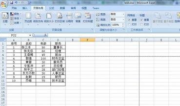 excel2007設(shè)置分頁符的詳細操作教程截圖