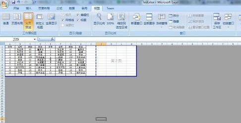 excel2007設(shè)置分頁符的詳細操作教程截圖