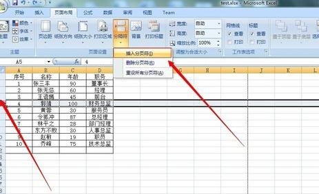 excel2007設(shè)置分頁符的詳細操作教程截圖