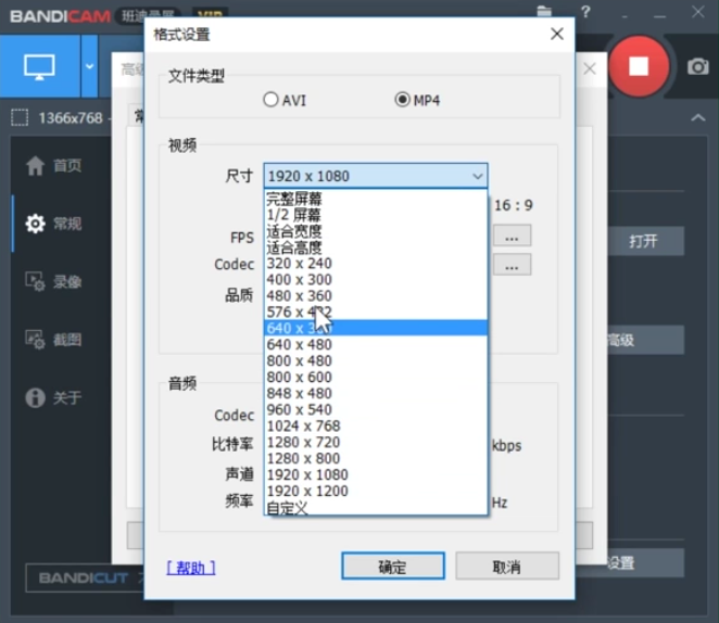 Bandicam設置錄制視頻尺寸的使用教程截圖