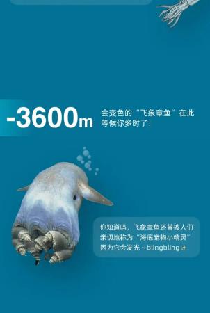 淘寶大贏家今日答案6.27號是什么？哪個動物可能看到泰坦尼克答案介紹圖片3