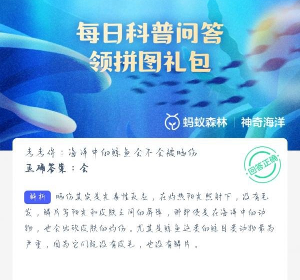 《支付寶》神奇海洋科普6月25日答案2023