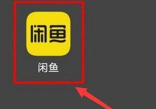 閑魚如何查看閑魚幣獲取記錄？閑魚查看閑魚幣獲取記錄明細(xì)圖文教程圖片1