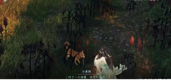 《逆水寒手游》犬吠何處來任務(wù)怎么做