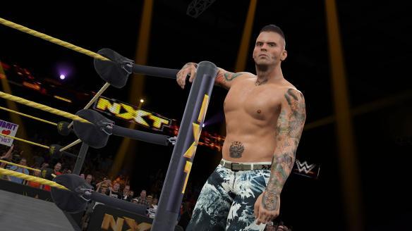 《WWE 2K15》粉絲向新手細(xì)節(jié)分享攻略